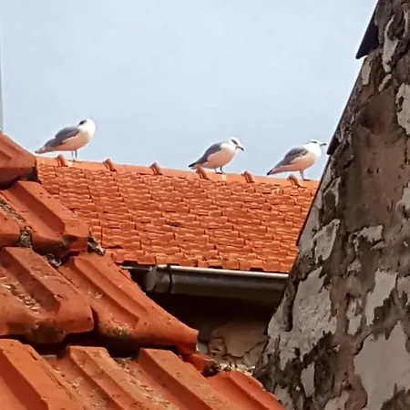 Hvar Heart Heritage *